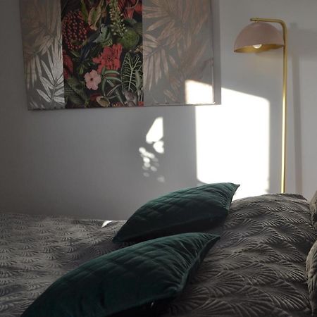 Aloes Studio Kraków Zewnętrze zdjęcie