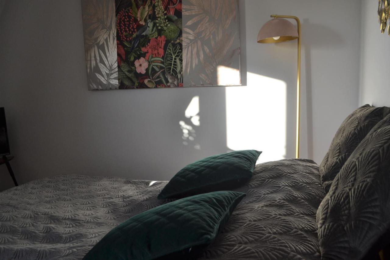 Aloes Studio Kraków Zewnętrze zdjęcie